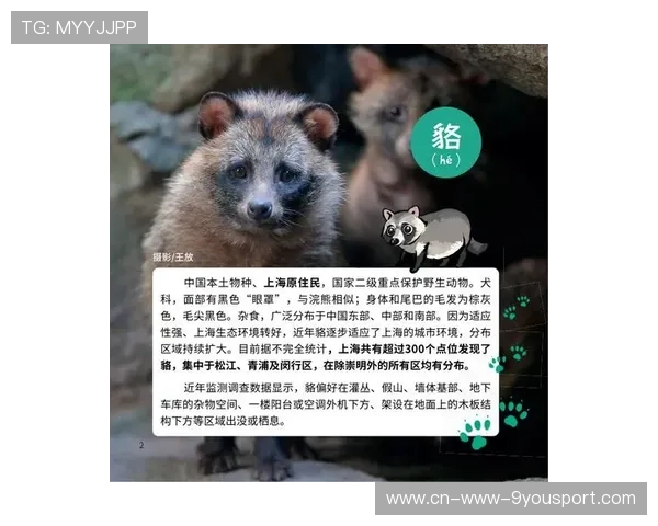 城市安全告急：野生动物频繁入侵？，野生动物频繁进城